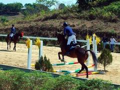 Olympic horse riding club opens in Lâm Đồng