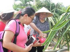 Bình Thuận Province continues to develop eco-tourism
