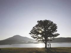 Romantic film reflects picturesque Đà Lạt city