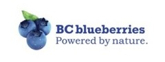 Studies have shown that BC frozen blueberries have more advantages in health than fresh berries