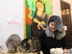 Cat cafe in the capital
