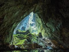 Tours of world's largest cave Sơn Đoòng resume