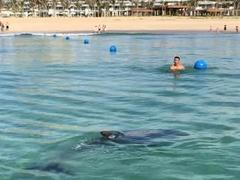 Dolphin stuns beachgoers at Cam Ranh Bay
