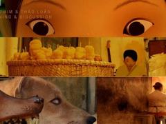 Manzi Art Space shows animated films about Việt Nam
