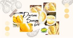 How Kungfu Durian Blazed the Trail for Durian eCommerce in Singapore 