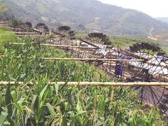 Water wheels the highlights of mountain fields