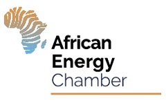 US-Africa Energy Advisory Committee to Push Energy Dialogue and Investment
