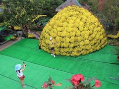 Flower decoration sets Vietnamese record
