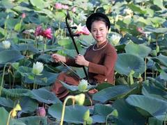 Singer brings xẩm folk singing to wider audience