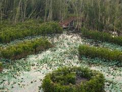 Southern water wonderland pivots to eco-tourism