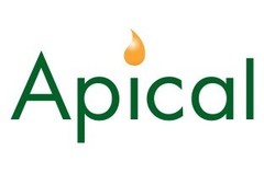Apical is Second Most Transparent Palm Oil Company in the World