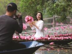 The beauty of water lily season on Yến stream