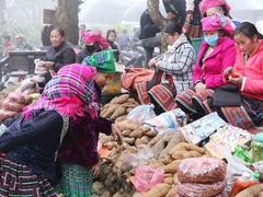 Sin Suối Hồ Fair celebrates the Lunar New Year