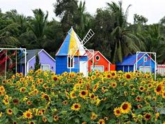 Flower villages ready to welcome visitors in Tết