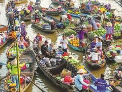 Cần Thơ promotes green tourism at Cái Răng Floating Market