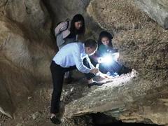 Traces of early humans found in Ninh Bình
