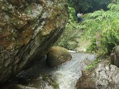 Discovering the natural beauty of Rêu Stream