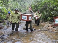 First Vietnamese wildlife conservationist receives Goldman Environmental Prize