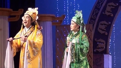Cải lương stars perform in TV show