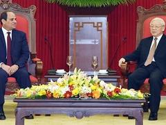 Egypt sees more co-operation opportunities with Việt Nam