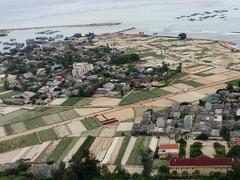 Lý Sơn Islands look for future ‘green’ growth