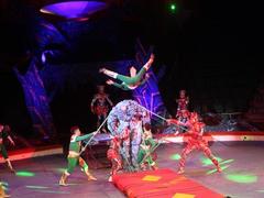 Circus artists long to be back on stage with new shows