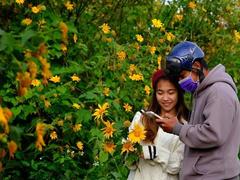Đà Lạt Flower Festival 2022 to last two months