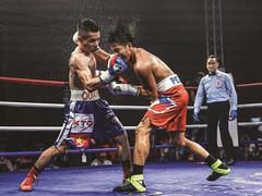 IBF Asia champion Quân to spar with undefeated Falcao in HCMC