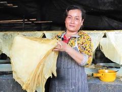 Developing Mỹ Hòa tofu skin craft village