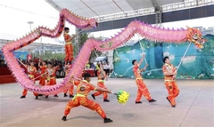 Dragon dance gold goes to Quảng Ninh