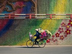 Photo capturing Hà Nội street vendor wins int’l award