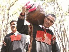 The cầu mùa ritual prays for bumper crops