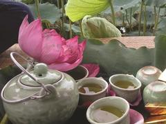 A potted history of Vietnamese tea