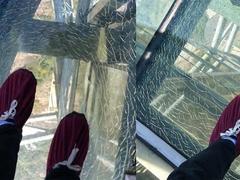 Glass bridge leaves visitors cracking up