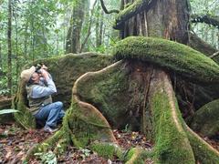 Discovering the mossy forest of Hòn Giao