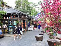 Spring Book Street opens in Hà Nội