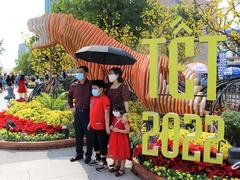 HCM City annual Tết 'flower road' opens