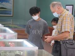 Shipwreck treasure lures tourists to central Quảng Ngãi