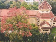 Special flower tour at History Museum