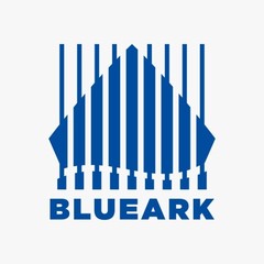 BlueArk’s Market Value Surged Over 40,000% in 6 Months