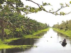 U Minh Thượng wetland reopens to eco-tourism after long hiatus