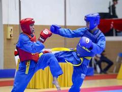 Martial artist Tuấn wins gold for vovinam team