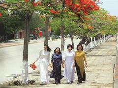 Hải Phòng's most beautiful season