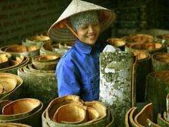 Văn Yên finds fortune in cinnamon