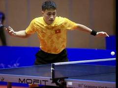 VN grabs silver at Southeast Asian Table Tennis Championship