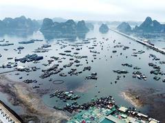 The morning bustle of Bến Do fish market