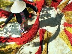 Hới mat craft village: home of Vietnamese mat weaving