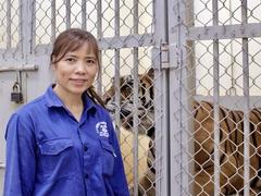 Caring for the big cats at Thủ Lệ Zoo