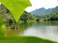 Cúc Phương National Park again wins at World Travel Awards 2022