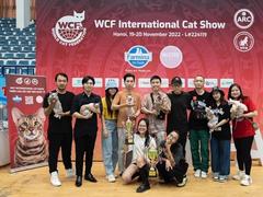 Cat lovers feline fine in Việt Nam